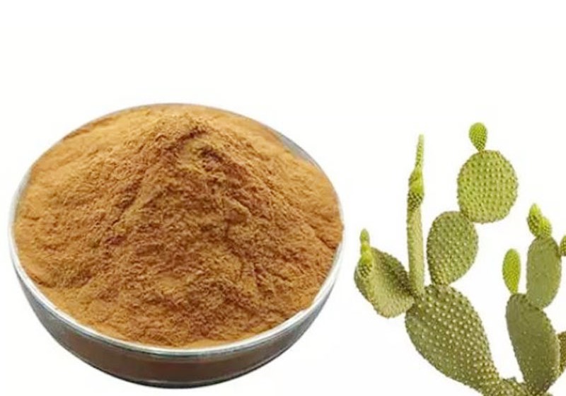 仙人掌老根粉